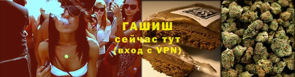 стаф Няндома