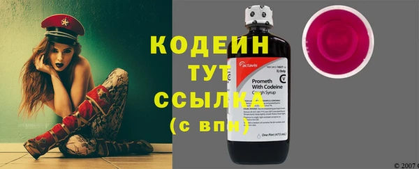 стаф Няндома
