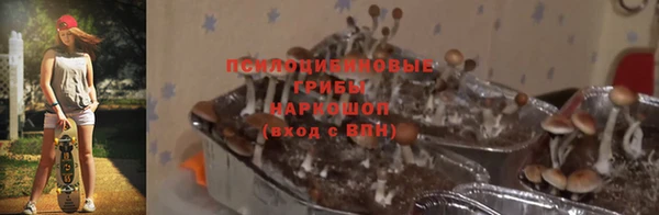 стаф Няндома