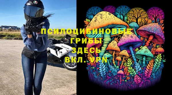стаф Нягань